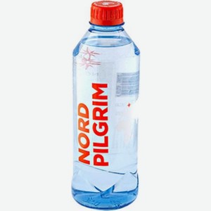 Вода Nord Pilgrim питьевая негазированная 500мл 500 г