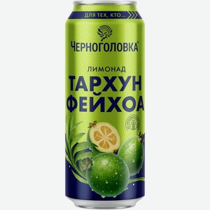 Напиток газированный Черноголовка со вкусом тархун-фейхоа, 450мл