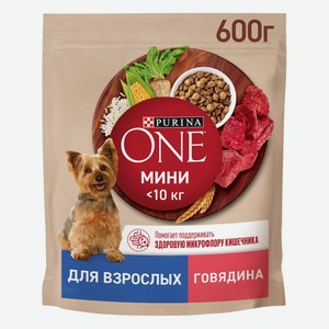 Корм сухой Purina ONE МИНИ для взрослых собак мелких пород