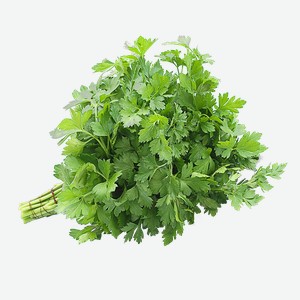 Петрушка, 100г