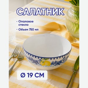 Салатник, O Kitchen, 19 см, 750 мл, в ассортименте