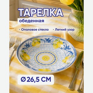 Тарелка обеденная, O Kitchen, 26,5 см, в ассортименте