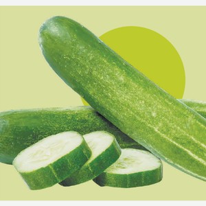 Огурец Среднеплодный Шт Толмачевский