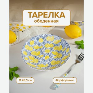 Тарелка обеденная, O’Kitchen, 20,5 см, в ассортименте