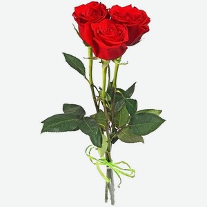 Букет роз 3шт