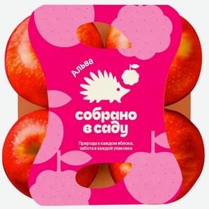 Яблоки Собрано в саду Альва 4 шт. 700 г