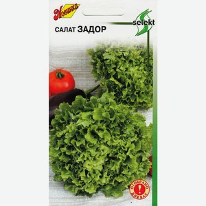 Салат Задор