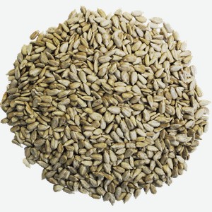 Ядро подсолнечника Магнит в стакане 50г 50 г