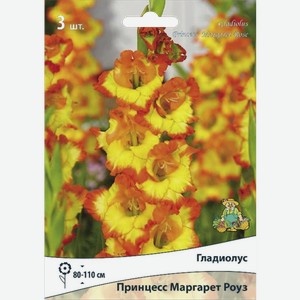 Гладиолус крупноцветковый Принцесс Маргарет Роуз 3шт 100 г