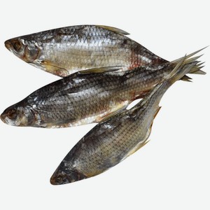 Вобла ФЛАНДЕРР вяленая вес, Россия