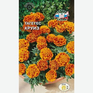 цветок Тагетес Круиз