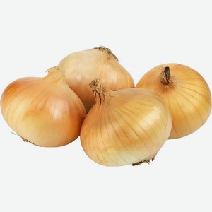 Лук репчатый Россия вес