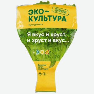 Салат листовой Эко культура в горшочке 100гр.