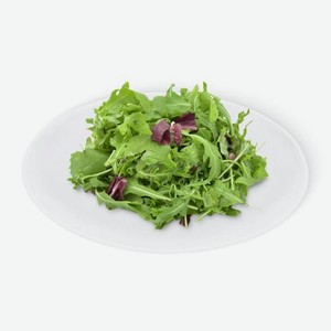 Салатный микс Руккола радиччо фриссе 75г 75 г