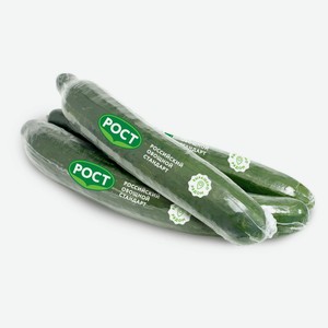 Огурец среднеплодный, 1 шт