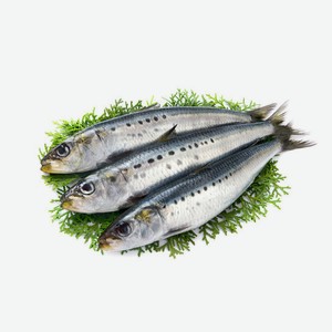 Финта (Сельдь) св/м, вес