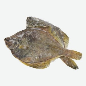 Камбала палтусовидная нр 21