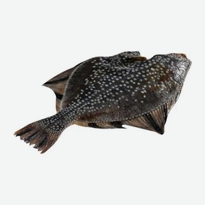 Камбала без головы