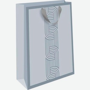 Пакет Арт Дизайн подарочный ВС стандарт плюс 18*22.3*10см в ассортименте