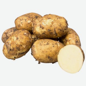 Картофель отечественный ранний вес