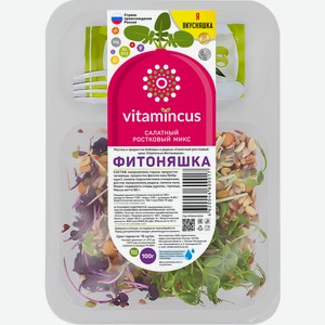 Салатный ростковый микс VITAMINCUS Фитоняшка, 100г