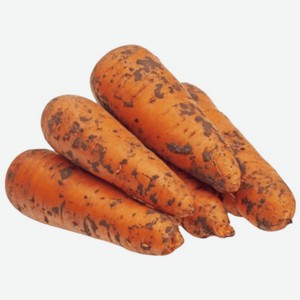 Морковь (Цена за 1 кг)