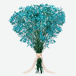 Букет из сухоцветов декоративные цветы набор для декора