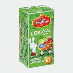 Сок Сады Придонья Яблоко Шиповник 125мл