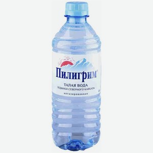 Вода Пилигрим питьевая, 250мл