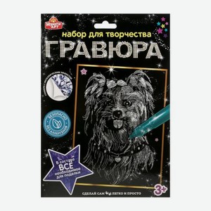 Гравюра Симбат Мульти Арт А4 в ассортименте