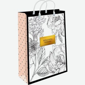 Сумка Арт и Дизайн Exlarge пластиковая в ассортименте 1шт., 1 шт