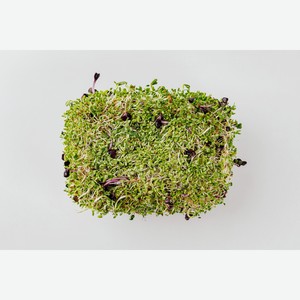 Микс из ростков  Растительный батон , 200 г 200 г