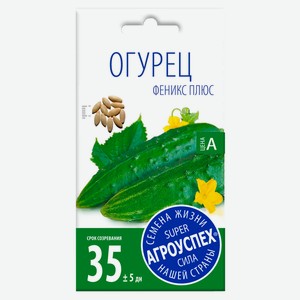 Семена «Агроуспех» Огурец Феникс, 0,5 г