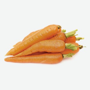 Морковь мытая кг