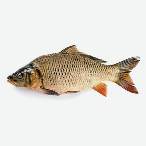 Карась непотрошеный охлажденный