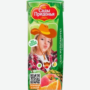 Сок «Сады Придонья» Мультифрукт, 200 мл