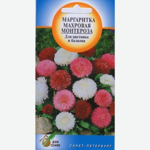 Маргаритка Монтероза