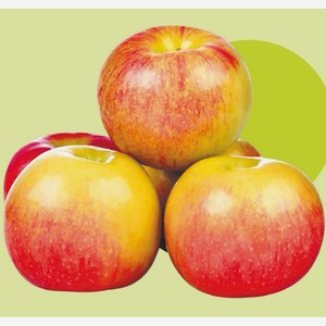 Яблоки Лиголь Кг