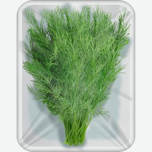 Укроп ЧТМ fantasy brands свежий уп., 100 г