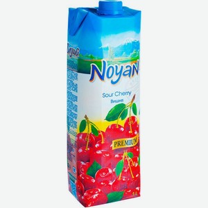 Нектар Noyan Вишневый 1л, 1 л