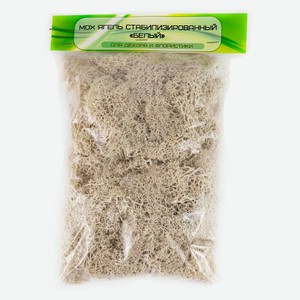 Искусственный Мох Ягель стабилизированный белый для цветов и интерьера, 100 г