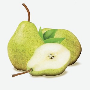 Груша Вильямс кг