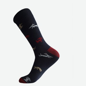 Носки мужские «Лантана» Таксы черные, размер 31