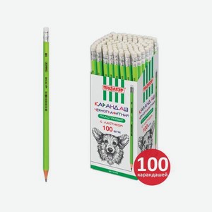 Карандаши чернографитные Пифагор 100 шт.