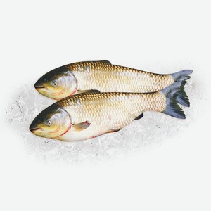 Амур белый с/г непотр охл кг