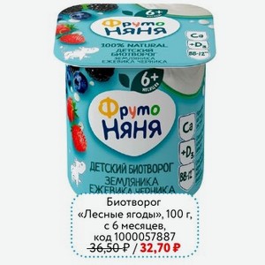 Биотворог «Лесные ягоды» ФрутоНяня, 100 г, с 6 месяцев