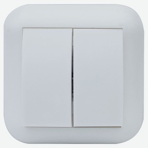 Выключатель duwi Basis скрытой проводки 2 клавиши