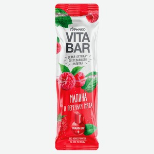 Основа для приготовления напитка «Гурмикс » Vitabar малина и перечная мята, 25 мл