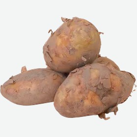 Картофель Молодой красный