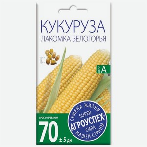 Семена Агроуспех Кукуруза Лакомка Белогорья, 5г